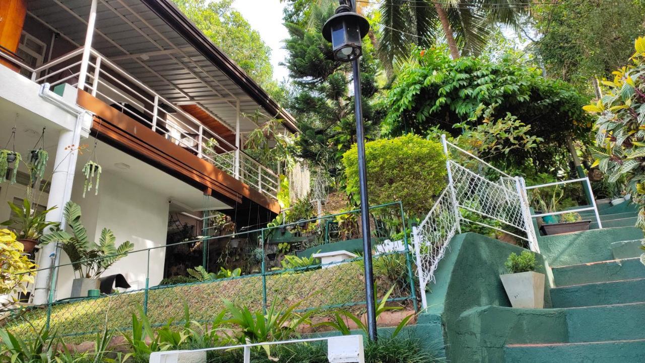 Marvel Hills Kandy Bagian luar foto