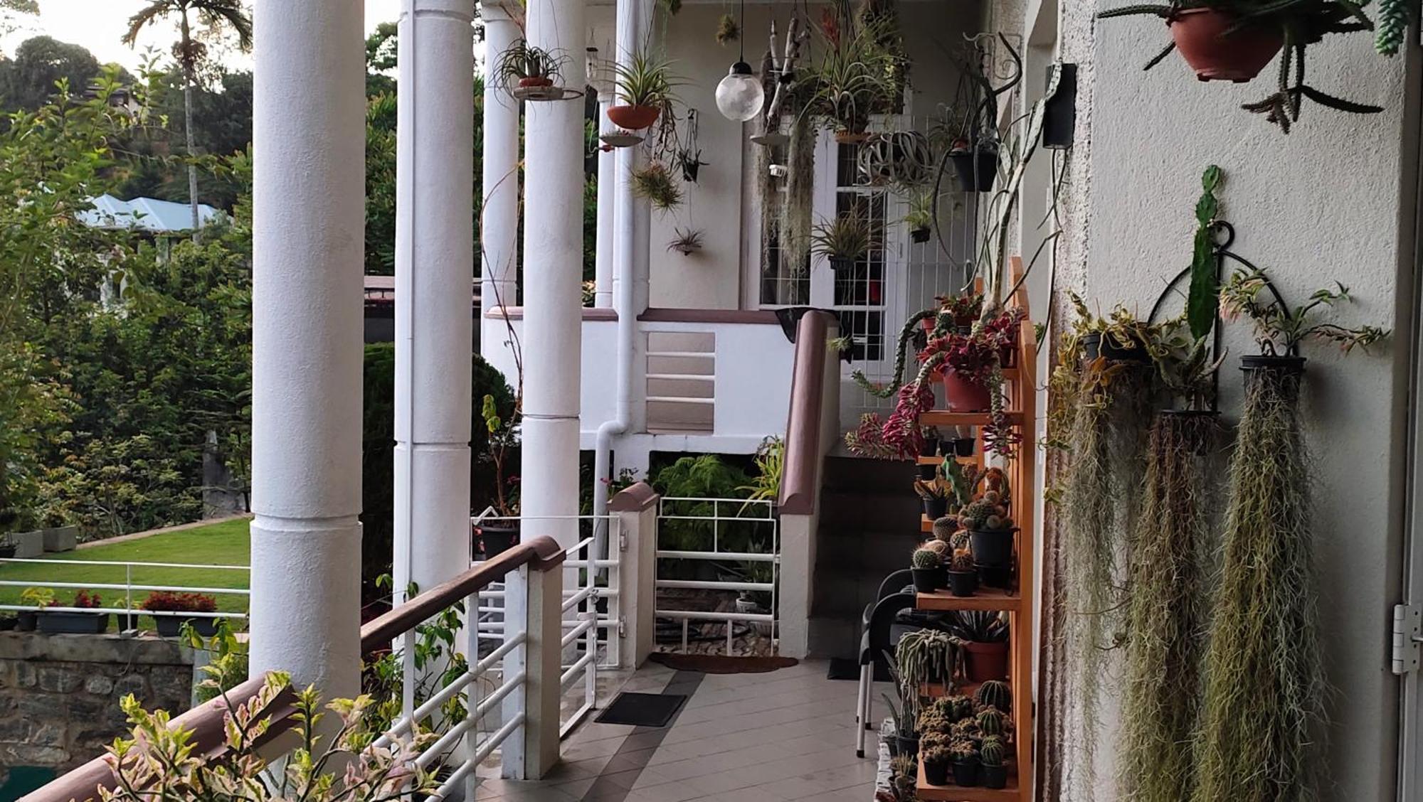 Marvel Hills Kandy Bagian luar foto