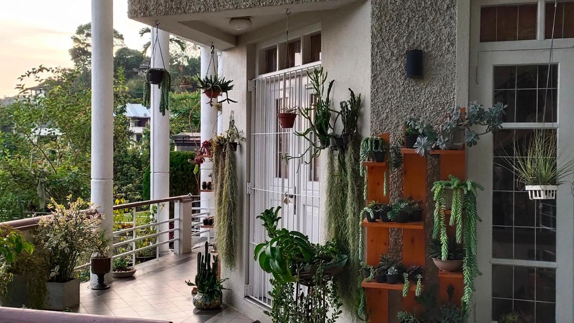Marvel Hills Kandy Bagian luar foto