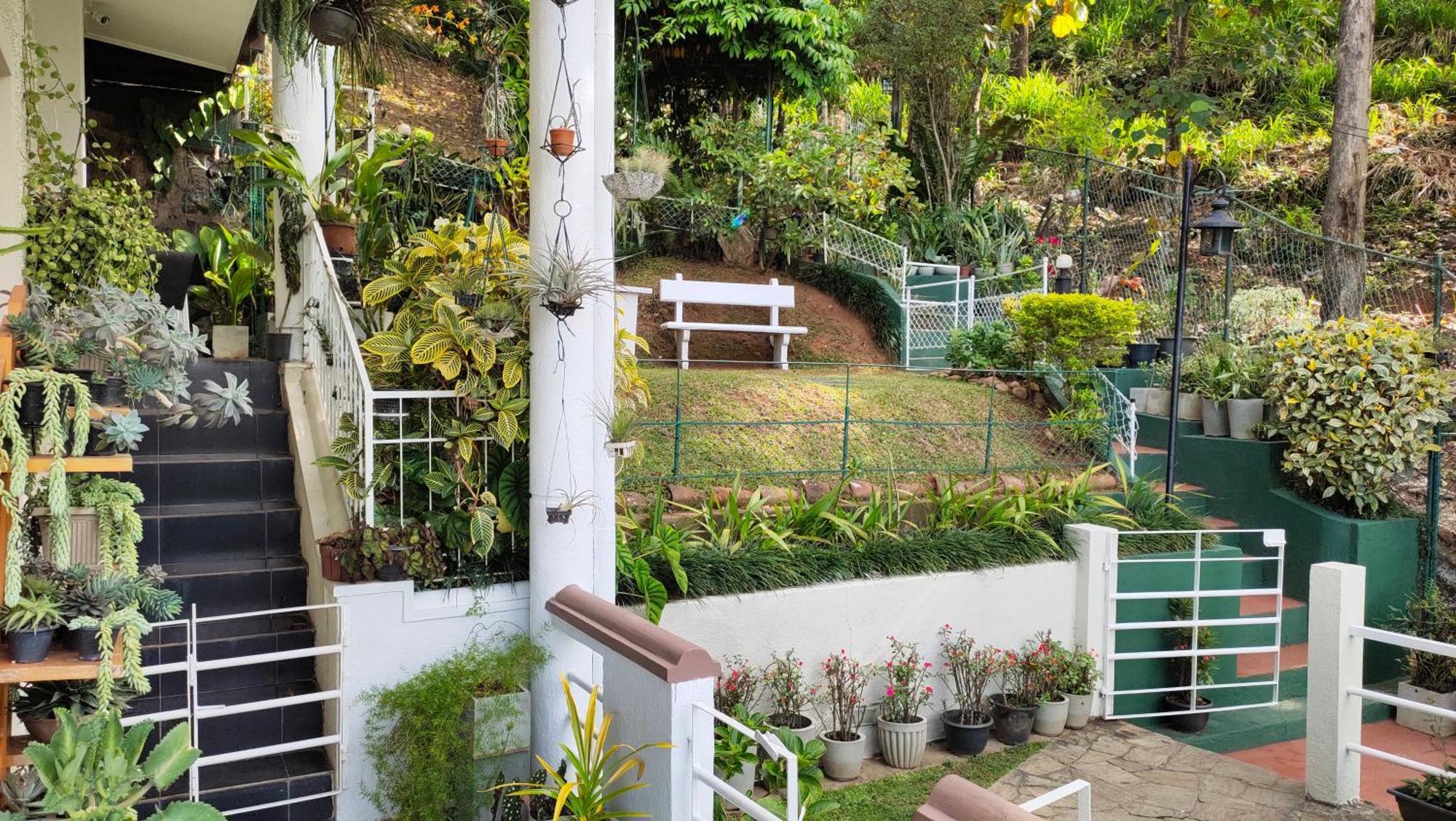 Marvel Hills Kandy Bagian luar foto